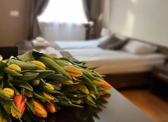 Bedrooms Piotrkowska 64 Aparthotel